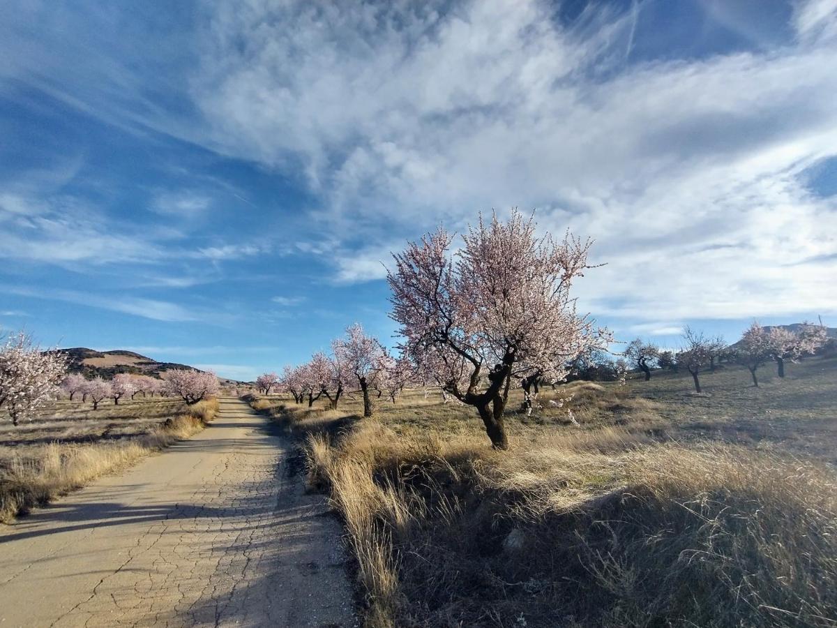 Appartamento Cortijo La Estrella Vélez Rubio Esterno foto