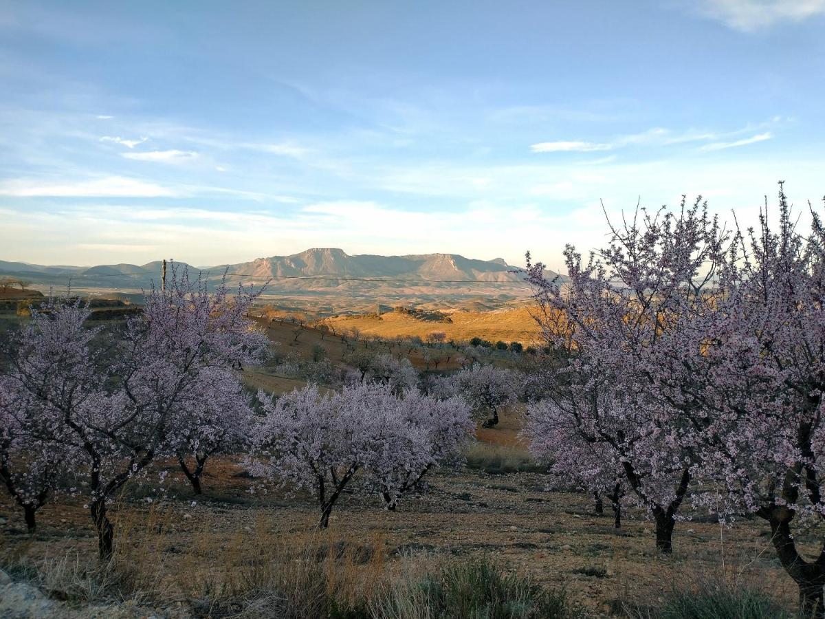 Appartamento Cortijo La Estrella Vélez Rubio Esterno foto