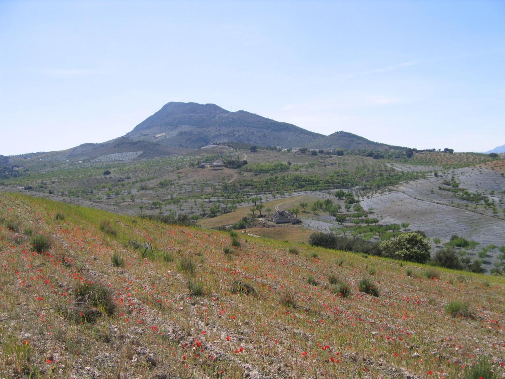 Appartamento Cortijo La Estrella Vélez Rubio Esterno foto