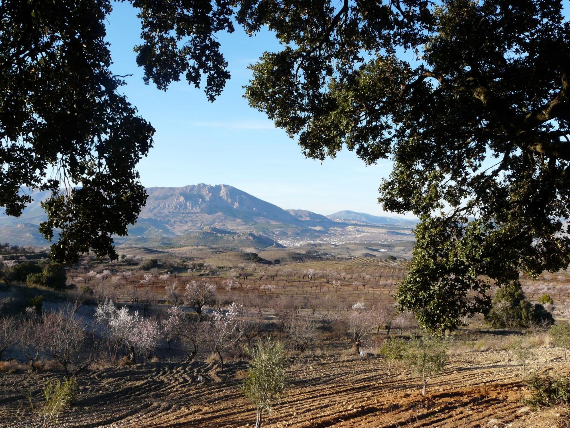Appartamento Cortijo La Estrella Vélez Rubio Esterno foto