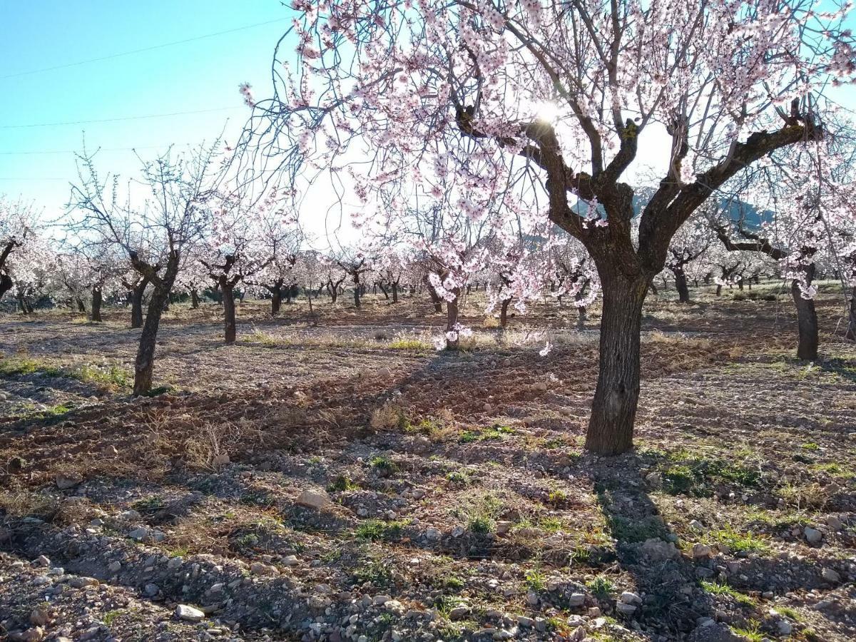 Appartamento Cortijo La Estrella Vélez Rubio Esterno foto