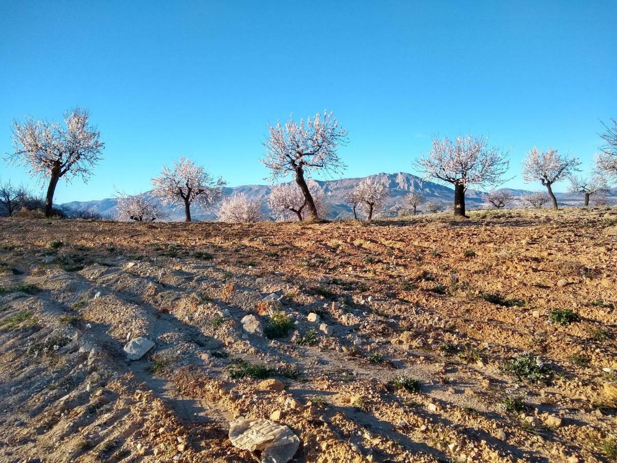 Appartamento Cortijo La Estrella Vélez Rubio Esterno foto